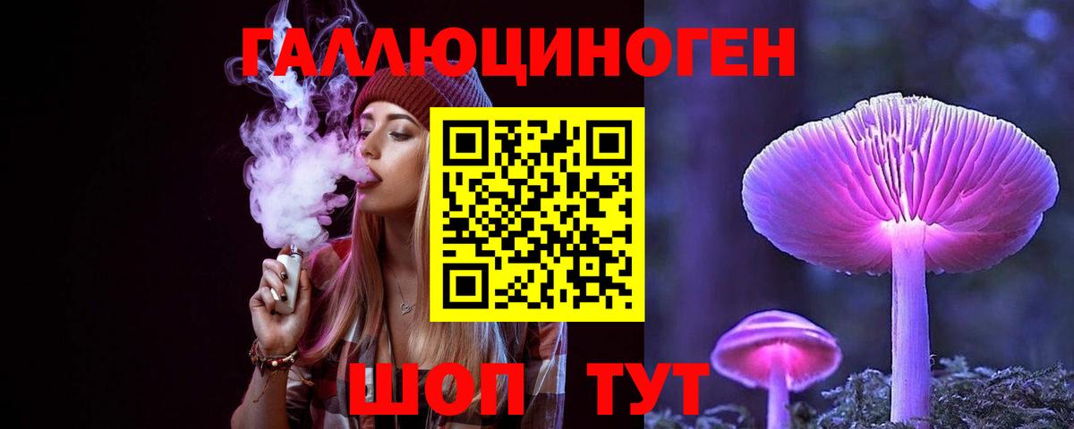 Балашиха  Галлюциногенные грибы мицелий  Псилоцибиновые грибы Psilocybe  Вход с VPN 